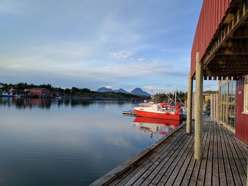 Daloona Natt