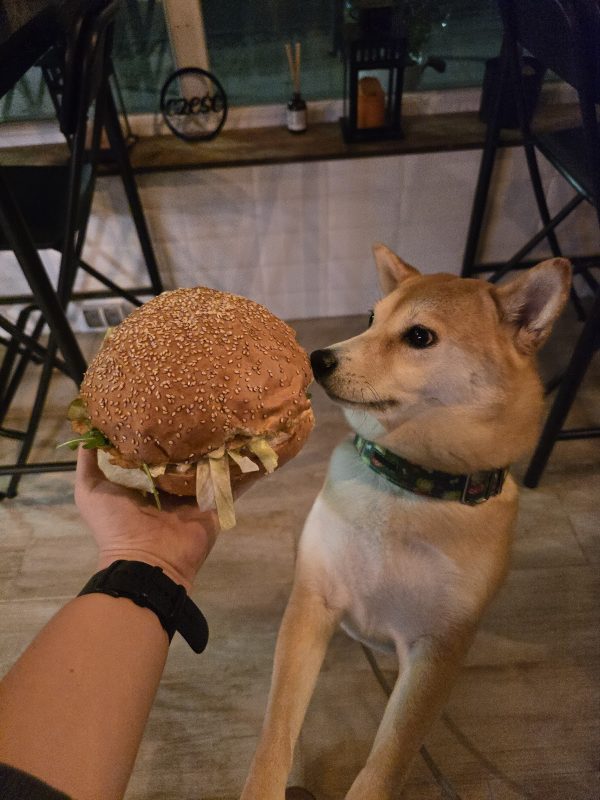 Burgermania Brunch & Lunch Grunwaldzka