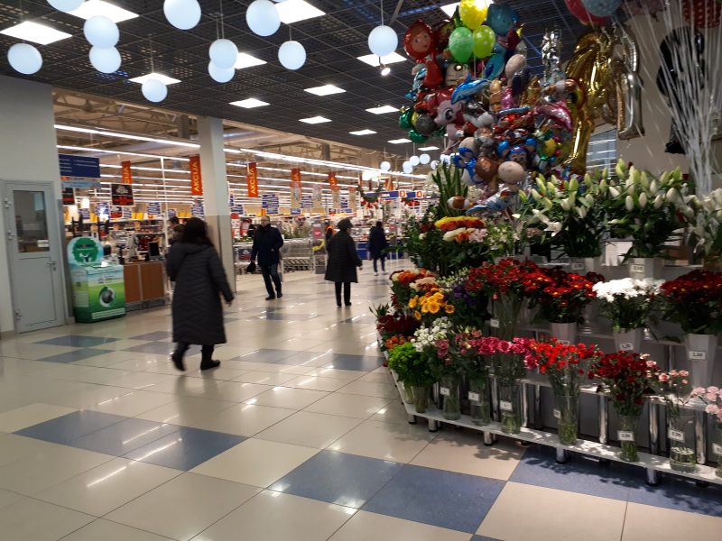 Kaimų kaimas (Molas Klaipėda)