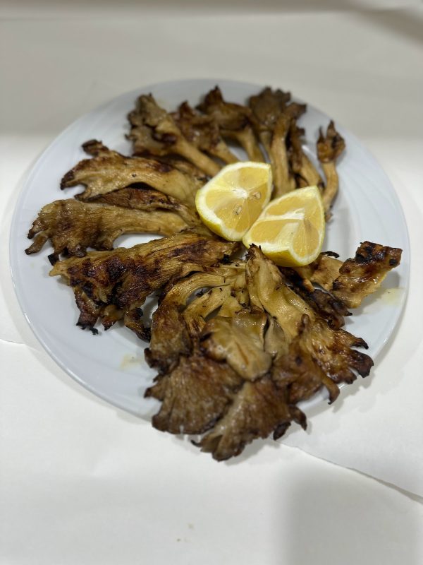 Mat Food Kebab Catering