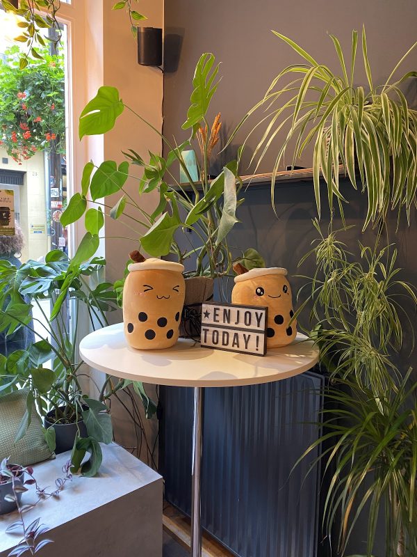 T.ZONE BOBA